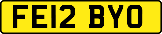 FE12BYO
