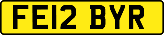 FE12BYR