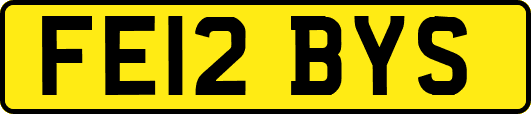 FE12BYS