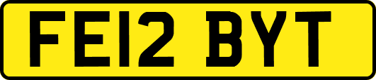 FE12BYT