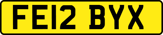 FE12BYX