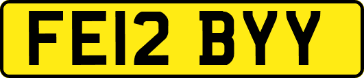 FE12BYY