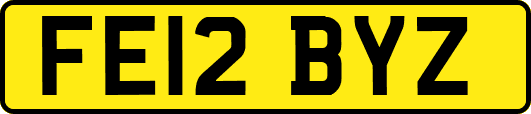 FE12BYZ