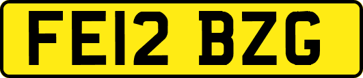 FE12BZG