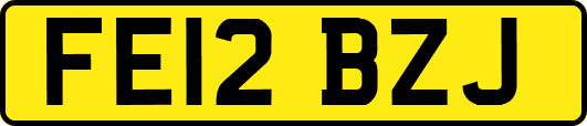 FE12BZJ