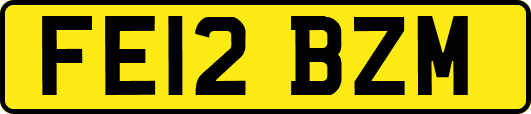 FE12BZM