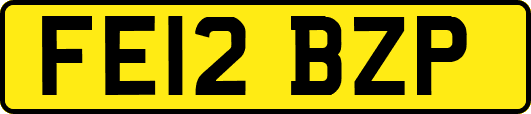 FE12BZP
