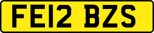 FE12BZS