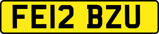 FE12BZU