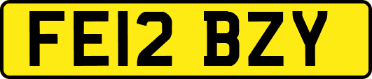 FE12BZY