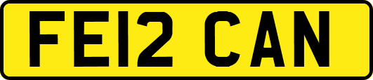 FE12CAN