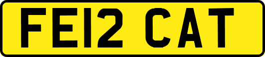 FE12CAT