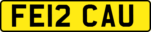 FE12CAU