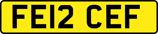 FE12CEF