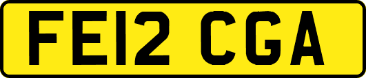FE12CGA