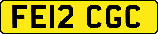 FE12CGC