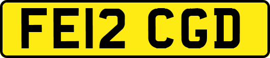 FE12CGD