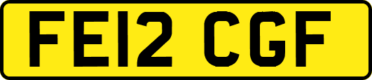 FE12CGF