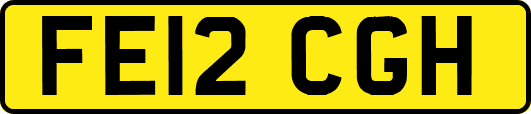 FE12CGH
