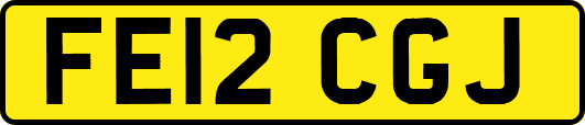 FE12CGJ