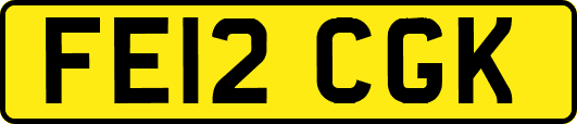 FE12CGK