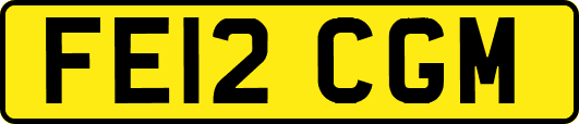 FE12CGM