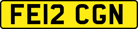 FE12CGN