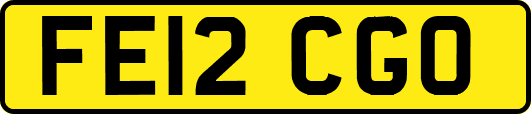 FE12CGO