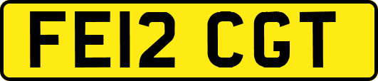 FE12CGT
