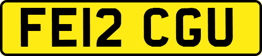 FE12CGU