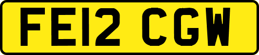 FE12CGW