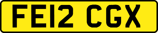 FE12CGX