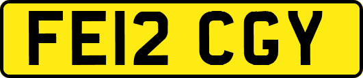 FE12CGY