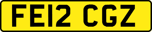 FE12CGZ