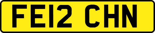 FE12CHN