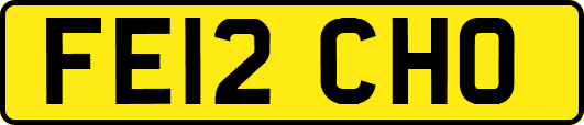 FE12CHO