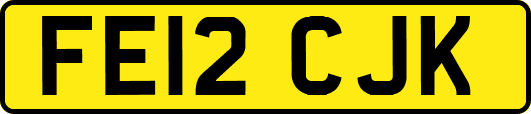 FE12CJK
