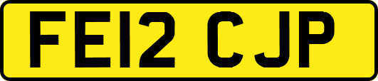 FE12CJP