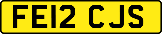 FE12CJS
