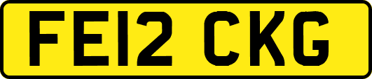 FE12CKG