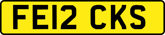 FE12CKS