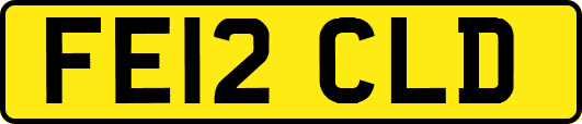 FE12CLD