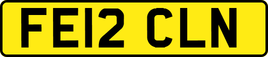 FE12CLN