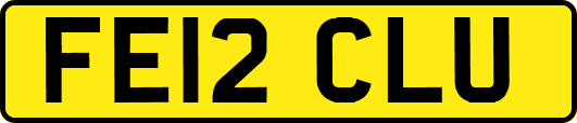 FE12CLU