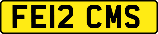 FE12CMS