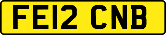 FE12CNB