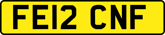 FE12CNF