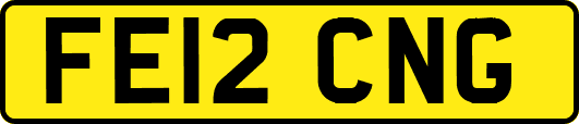 FE12CNG