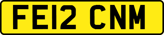 FE12CNM