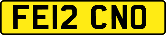 FE12CNO